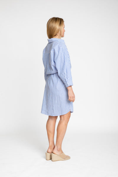 The Wide Striped Oxford Dress | Blue + White