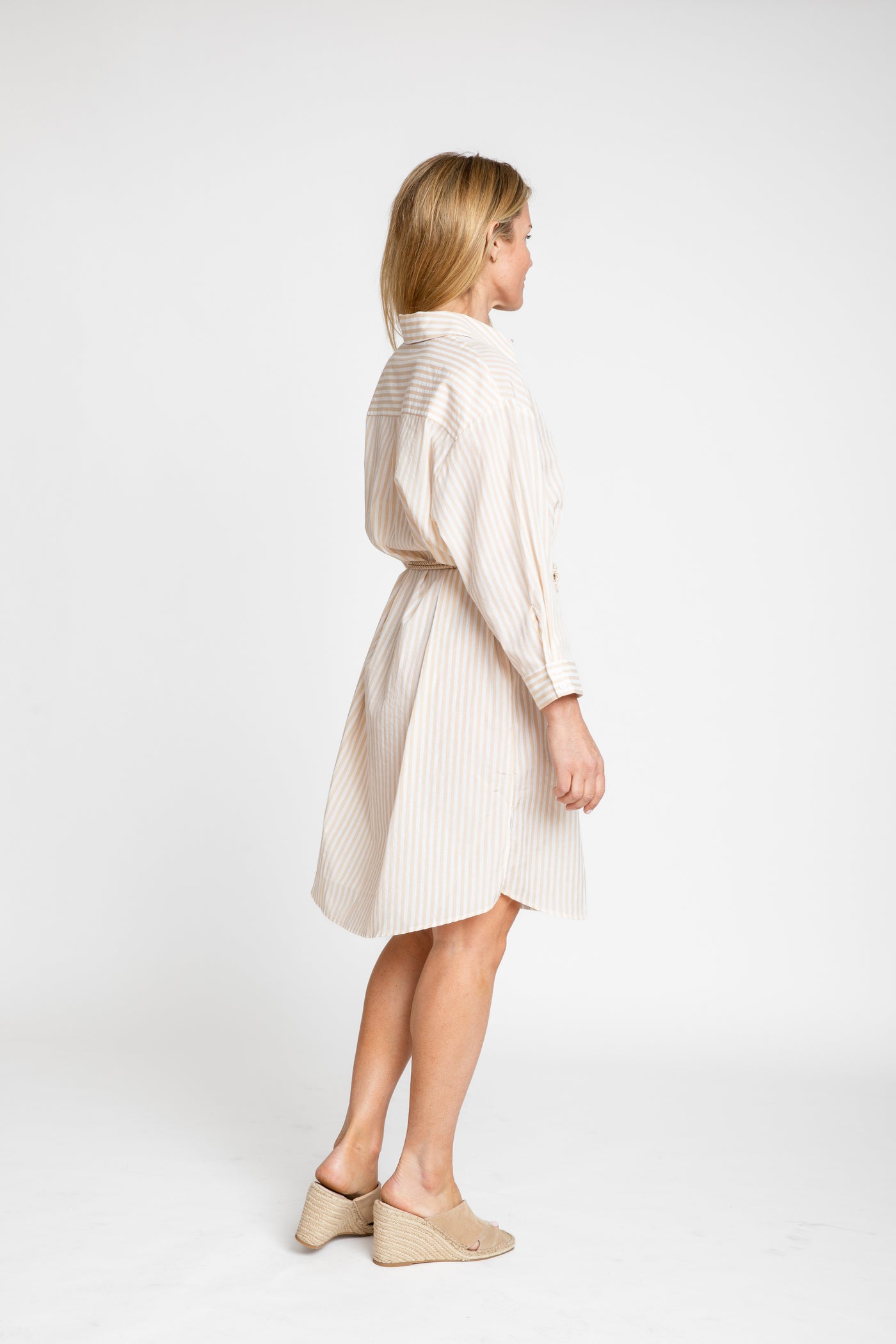 The Wide Striped Oxford Dress | Sand + White