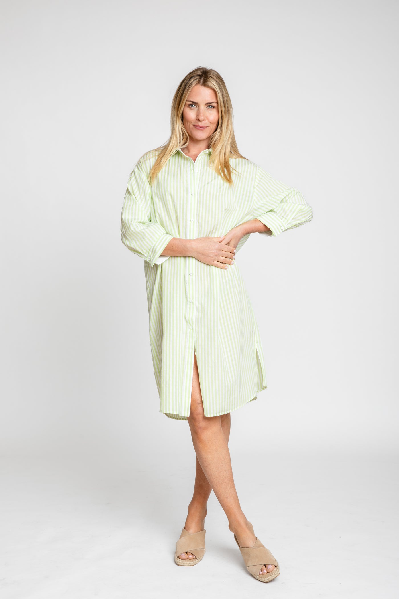 The Wide Striped Oxford Dress | Green + White