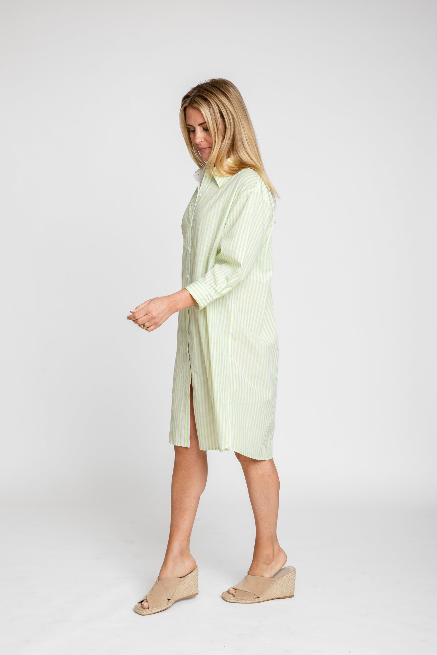 The Wide Striped Oxford Dress | Green + White