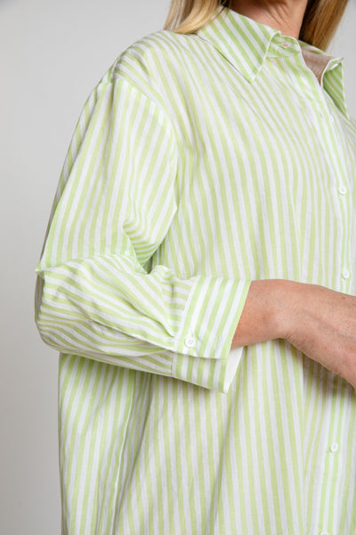 The Wide Striped Oxford Dress | Green + White