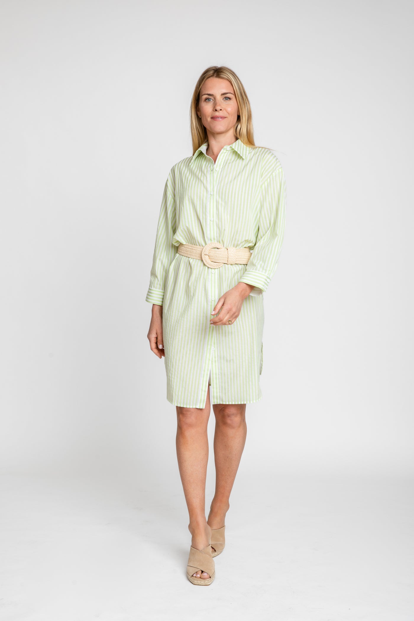 The Wide Striped Oxford Dress | Green + White